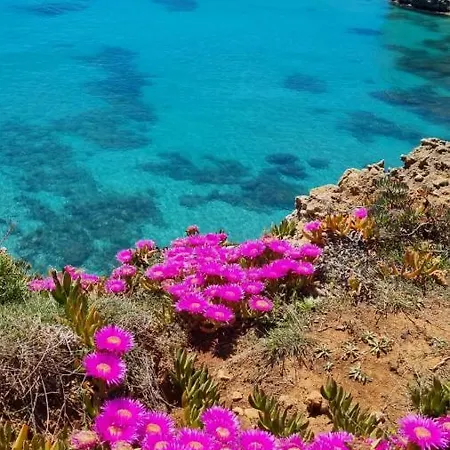 Afea Salento Puglia Lejlighed